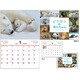 KO635809 [2026年 どうぶつのあかちゃん ウオール＆デスクカレンダー]