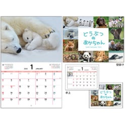 KO635809 [2026年 どうぶつのあかちゃん ウオール＆デスクカレンダー]