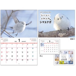 KO635816 [2026年 ふくふくふわふわシマエナガ ウオール＆デスクカレンダー]