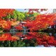 300-167 日本風景 世界遺産 秋に色づく醍醐寺（京都） [ジグソーパズル 300ピース]