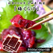 【創業430余年】小田原・鮑屋 『梅くらげ』 計500g（100g×5袋） くらげの頭・曽我の梅使用 ※冷凍 N02-042454