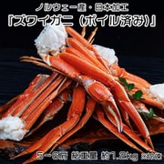 お買い得ズワイガニ ボイル済み 5～6肩 総重量 約1.2kg（解凍後NET1.0kg） ノルウェー産・日本加工 ※冷凍 N02-039887 [ご注文受付は2025年12月22日（月）決済完了分まで]