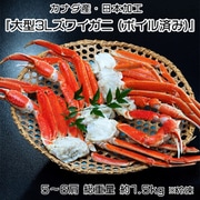 大型3Lズワイガニ ボイル済み 5～6肩 総重量約1.5kg（解凍後NET1.3kg） カナダ産・日本加工 ※冷凍 N02-039792 [ご注文受付は2025年12月22日（月）決済完了分まで]