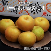 糖度13.5度以上『一糖賞 幸水梨』新潟県産 約2.4kg（5～9玉）簡易箱 ※冷蔵 JA新潟かがやき 204i15444 [ご注文受付は2025年8月25日（月）決済完了分まで]