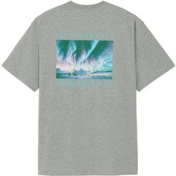 ショートスリーブグレートレースティー ユニセックス カットソー ミックスグレー（Z） Mサイズ NT82531