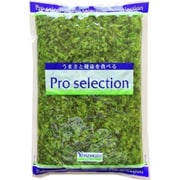 青しその実 1kg