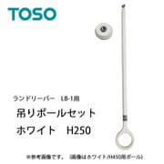 室内物干し ランドリーバー LB-1 吊りポールセット H250 ホワイト 30020011