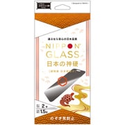 iPhone 17用 NG覗き見防止2強化 TY-IP25M2-GLS-GNLPVC