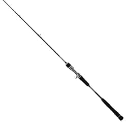 タイゲーム SD（Tai Game SD）タイラバロッド C67ML/LSL