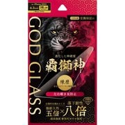 iPhone 17/17 Pro/16 Pro用 ガラスフィルム 「GOD GLASS 覇獅神」練磨 覗き見防止180° GG-IP25GLN
