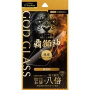 iPhone 17 Pro Max/16 Pro Max用 ガラスフィルム 「GOD GLASS 覇獅神」練磨 超透明 GG-IL25G
