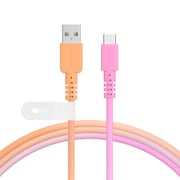 グラデーションケーブル USB-A to USB-C 1m ファジーネーブル MOT-SCBACG100-FN