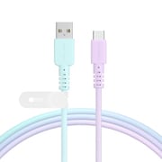 グラデーションケーブル USB-A to USB-C 1m マーメイド MOT-SCBACG100-MD