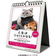 CL-384 [2026年カレンダー 人生はニャンとかなる！ 卓上/壁掛]