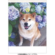 CL-393 [2026年カレンダー 柴犬まるとおさんぽ]