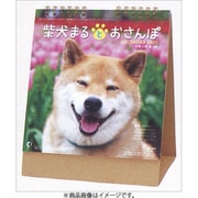 CL-394 [2026年カレンダー 卓上 柴犬まるとおさんぽ]