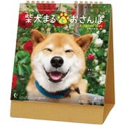 CL-394 [2026年カレンダー 卓上 柴犬まるとおさんぽ]
