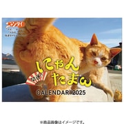 CL-395 [2026年カレンダー にゃんたまカレンダー2026/芳澤ルミ子]