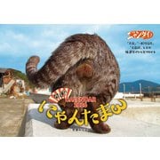 CL-395 [2026年カレンダー にゃんたまカレンダー2026/芳澤ルミ子]