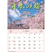 CL-471 [2026年カレンダー ジャンボ「日本の桜」スケジュール]