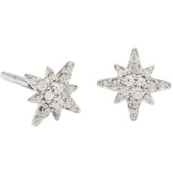 Honesty Astra Silver ピアス ランニング アクセサリ ペア（両耳用） CZ-AST-SV