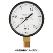 一般圧力計（A枠立型・Φ100）圧力レンジ0.0～0.6MPa R3/8 1028060