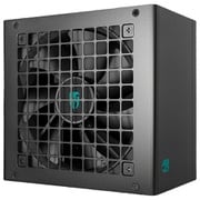 PN750M ATX 3.1/PCIe 5.1（12V-2x6 450W）対応 80 PLUS GOLD認証 フルモジュラー PC電源ユニット 750W R-PN750M-FC0B-JGJP