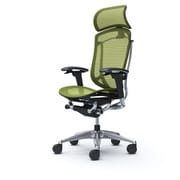 【完成品】 Contessa seconda（コンテッサセコンダ） グリーン【エクストラハイバック 大型固定ヘッドレスト メッシュ アジャストアーム ポリッシュフレーム ブラックボディ ランバー無 ハンガー無 ナイロンキャスター】※受注生産品 CC85BR FPG5