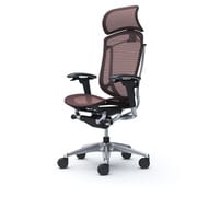 【完成品】 Contessa seconda（コンテッサセコンダ） ダークブラウン【エクストラハイバック 大型固定ヘッドレスト メッシュ アジャストアーム ポリッシュフレーム ブラックボディ ランバー無 ハンガー無 ナイロンキャスター】※受注生産品 CC85BR FPG8