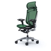 【完成品】 Contessa seconda（コンテッサセコンダ） ダークグリーン【エクストラハイバック 大型固定ヘッドレスト メッシュ アジャストアーム ポリッシュフレーム ブラックボディ ランバー無 ハンガー無 ナイロンキャスター】※受注生産品 CC85BR FPH5