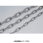 チェーン ファースト ステンレスチェーン 6mm×30m ST-630