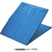 ブルーシートエコノミー ＃2000 2.7m×3.6m BSL20-2736