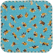 ミニタオル 15×15cm レッサーパンダ サックス L-230703