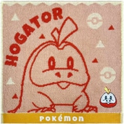 タオル ポケモン ミニタオル 25×25cm ホゲータ PO207400