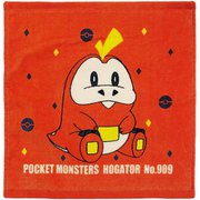 ハンドタオル ポケモン 34×35cm ホゲータ WN450510