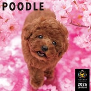Y1351 [限定 2026 PICTWAN L プードル L020]