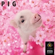 Y1362 [限定 2026 PICTWAN L ピッグ L031]