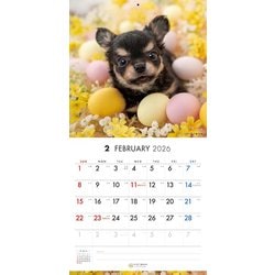 ヨドバシ.com - Y1366 [限定 2026 PICTWAN S チワワ S035] 通販
