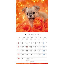 ちわわんず ヨドバシ.com - Y1366 [限定 2026 PICTWAN S チワワ S035] 通販