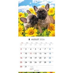 ブルドッグさん 専用ページ ヨドバシ.com - Y1337 [限定 2026 PICTWAN L ブルドッグ L006