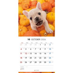ブルドッグさん 専用ページ ヨドバシ.com - Y1368 [限定 2026 PICTWAN S フレンチ