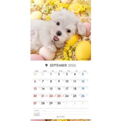 ヨドバシ.com - Y1369 [限定 2026 PICTWAN S マルチーズ S038