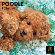 Y1370 [限定 2026 PICTWAN S プードル S039]