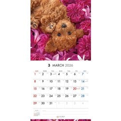 ヨドバシ.com - Y1370 [限定 2026 PICTWAN S プードル S039