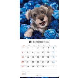 ヨドバシ.com - Y1372 [限定 2026 PICTWAN S シュナウザー S041