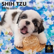 Y1374 [限定 2026 PICTWAN S シー・ズー S043]