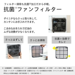 ダイナミックな作品インパクトのある器. ♦️大鉢、♦️本日特別お値下げ‼️ YGK エックスブレイド(X-BRAID) ロンフォート リアル