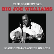 BIG JOE WILLIAMS ／ ESSENTIAL [輸入盤洋楽CD]