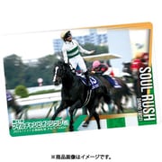 サラブレッドホースコレクション ツインウエハース 第3R 1BOX（20個入） [コレクション食玩]