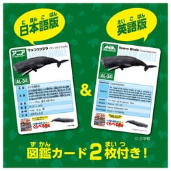 クジラ34 ヨドバシ.com - タカラトミー TAKARATOMY アニア AL-34 マッコウ